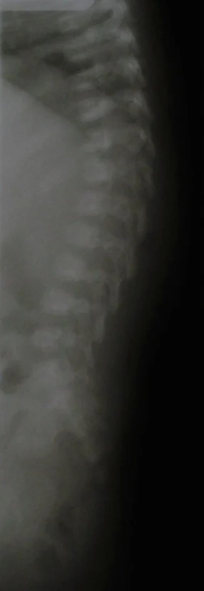 image-3